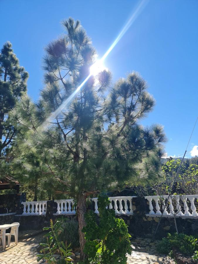 Vivienda Vacacional Luna El Paso Εξωτερικό φωτογραφία